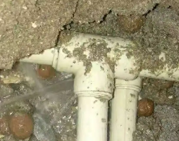 东乌珠穆沁测漏水多少钱
