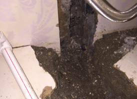 东乌珠穆沁卫生间测漏水哪家好