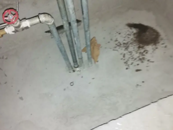 东乌珠穆沁卫生间测漏水价格明细
